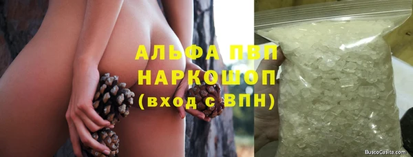 стафф Баксан