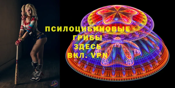 стафф Баксан