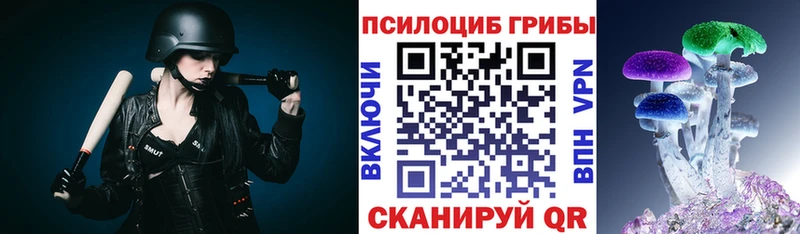 Псилоцибиновые грибы Psilocybe  наркотики  Орлов 